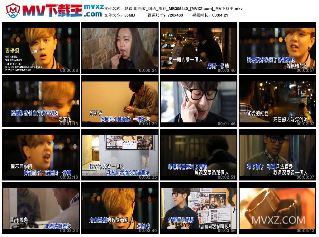 赵鑫-旧伤痕_国语_流行_MB305440